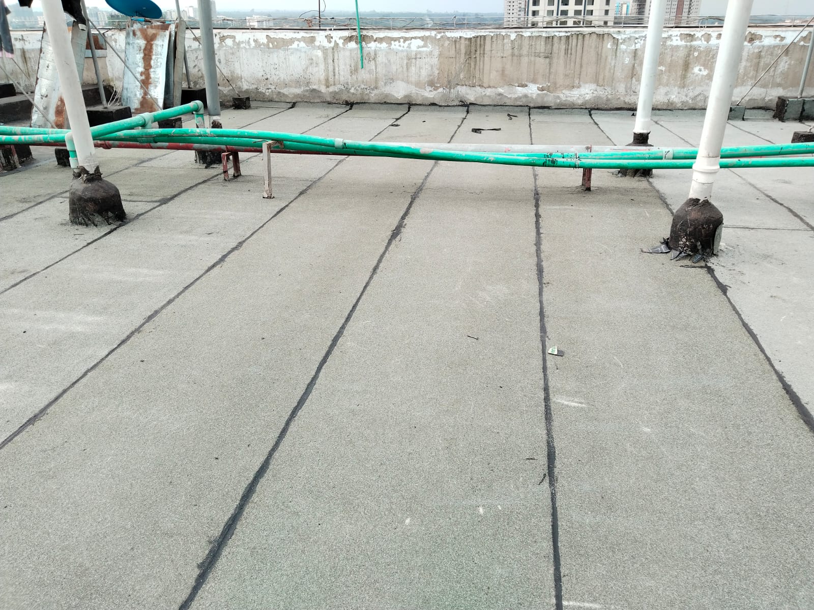 picture 1